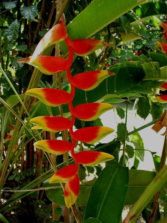 Finca Kobo Palo Seco ภายนอก รูปภาพ