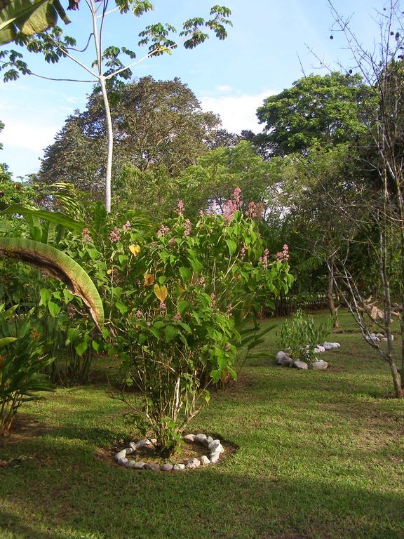 Finca Kobo Palo Seco ภายนอก รูปภาพ